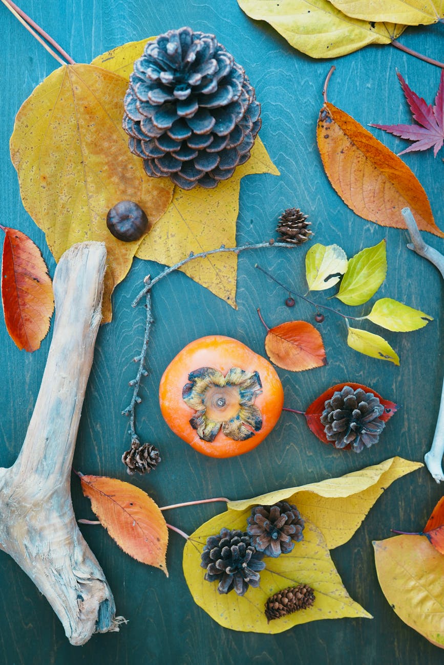 口横のポニョを制する